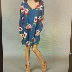 Water the Roses Altar’d State dress.